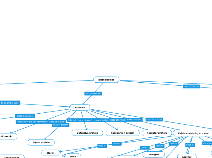 Biomolecules Mind Map